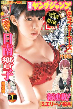 风中奇缘电视剧